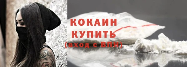 ALPHA PVP Инсар