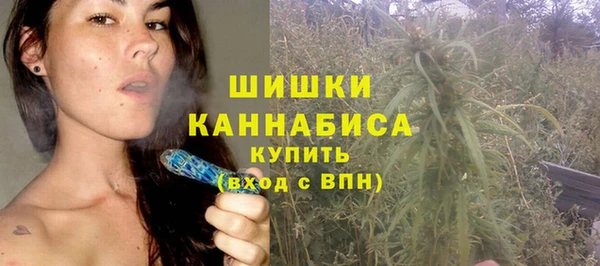 ALPHA PVP Инсар