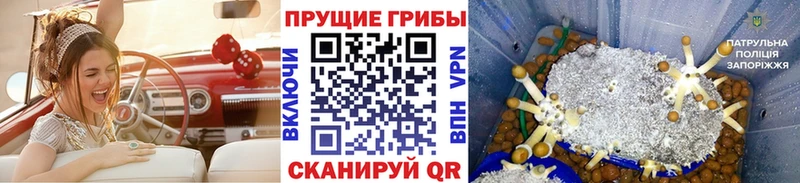 Купить где  Любим  Галлюциногенные грибы Magic Shrooms 
